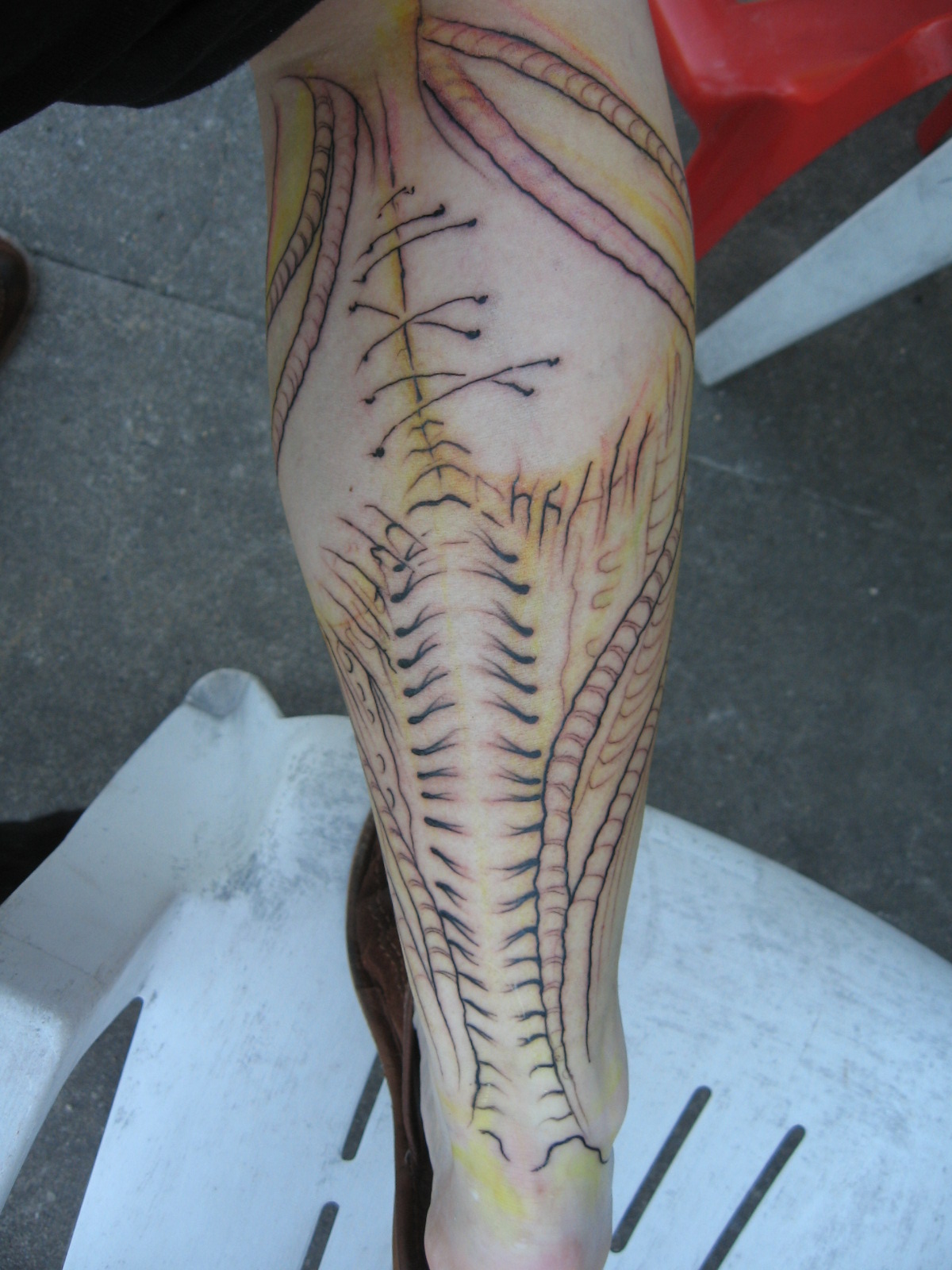 me again – a long saga of my calf tattoo | Aniareads Weblog